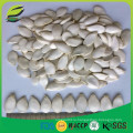 Здоровые белые семена тыквы поставщиков